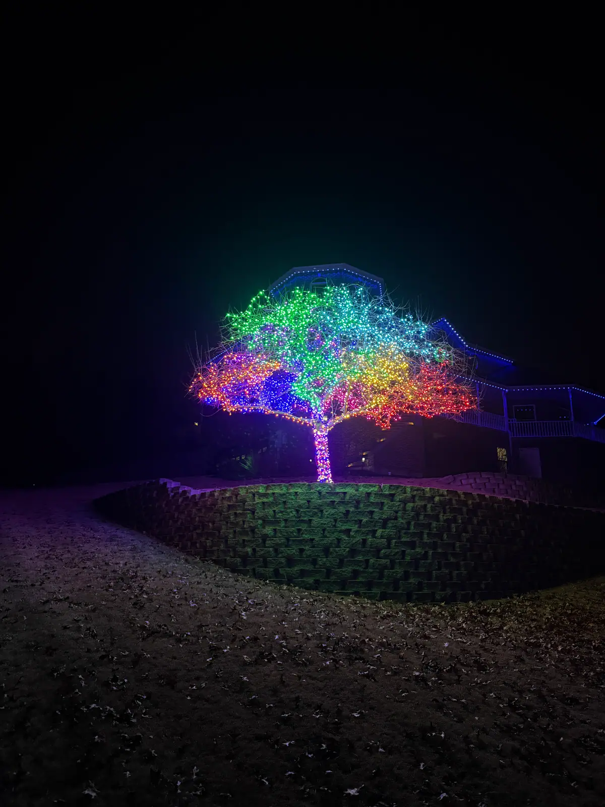 A large tree wrapped trunk to branch in full-color lights above a stone retaining wall